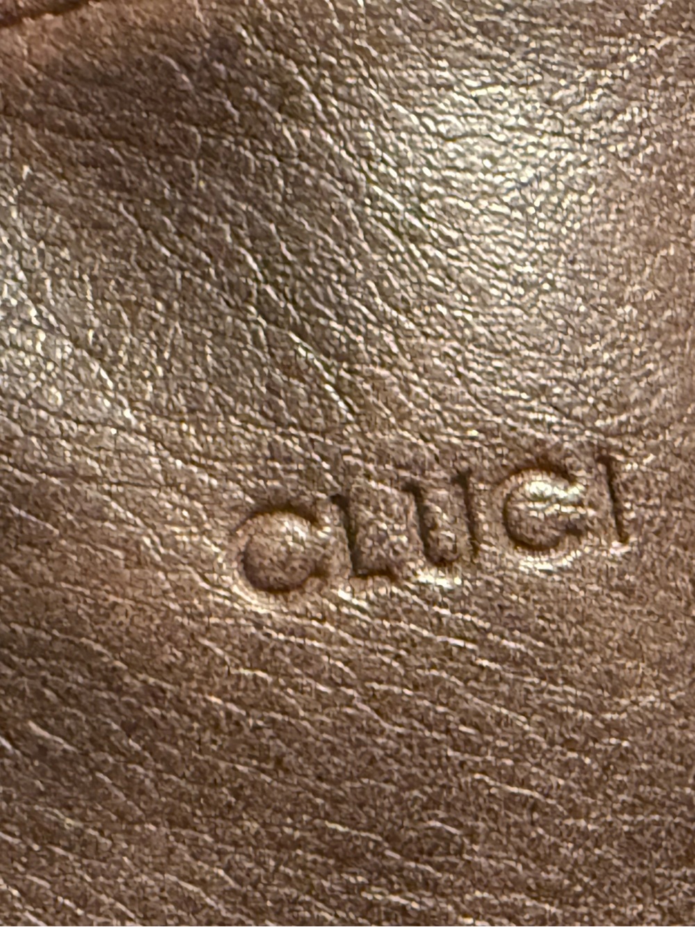 Cluci Metallic Brown Leather Hobo Bag